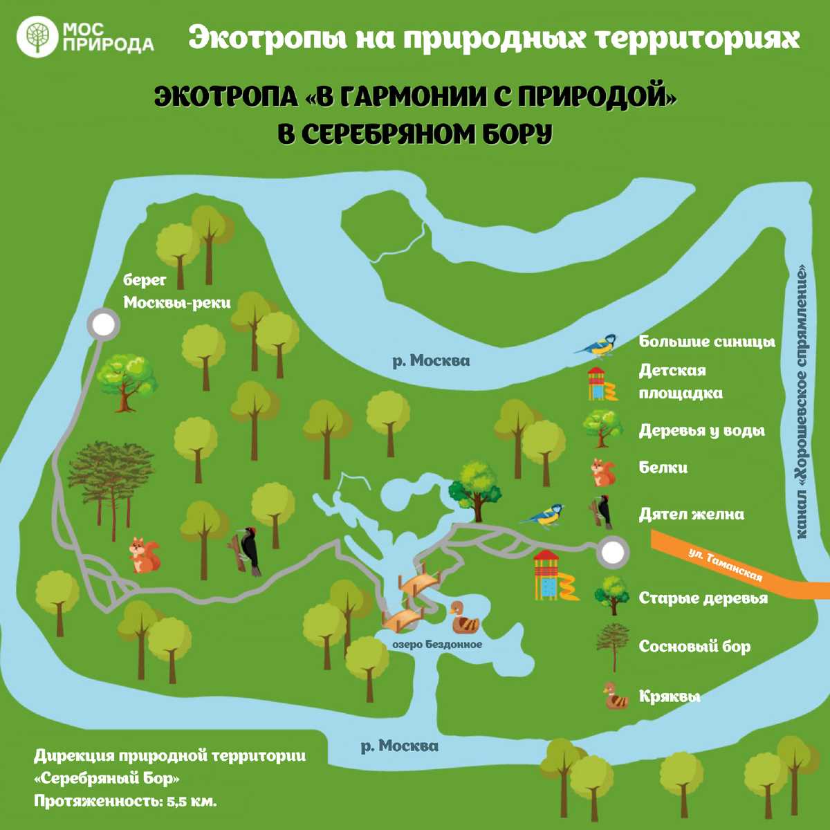 Открытие нового мира пешком: польза для здоровья